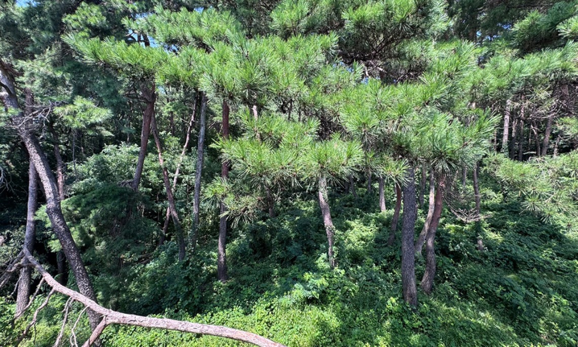 갤러리